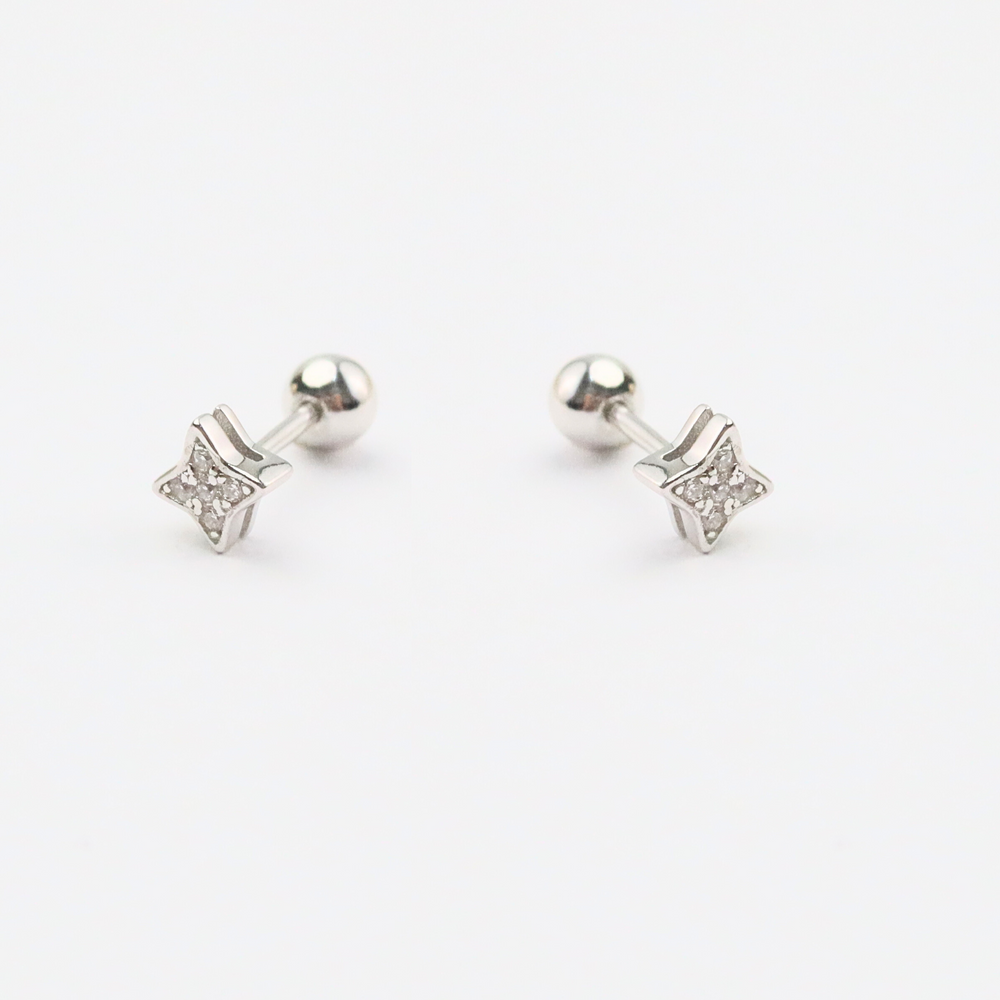 Sparkle Zircon Stud(S)