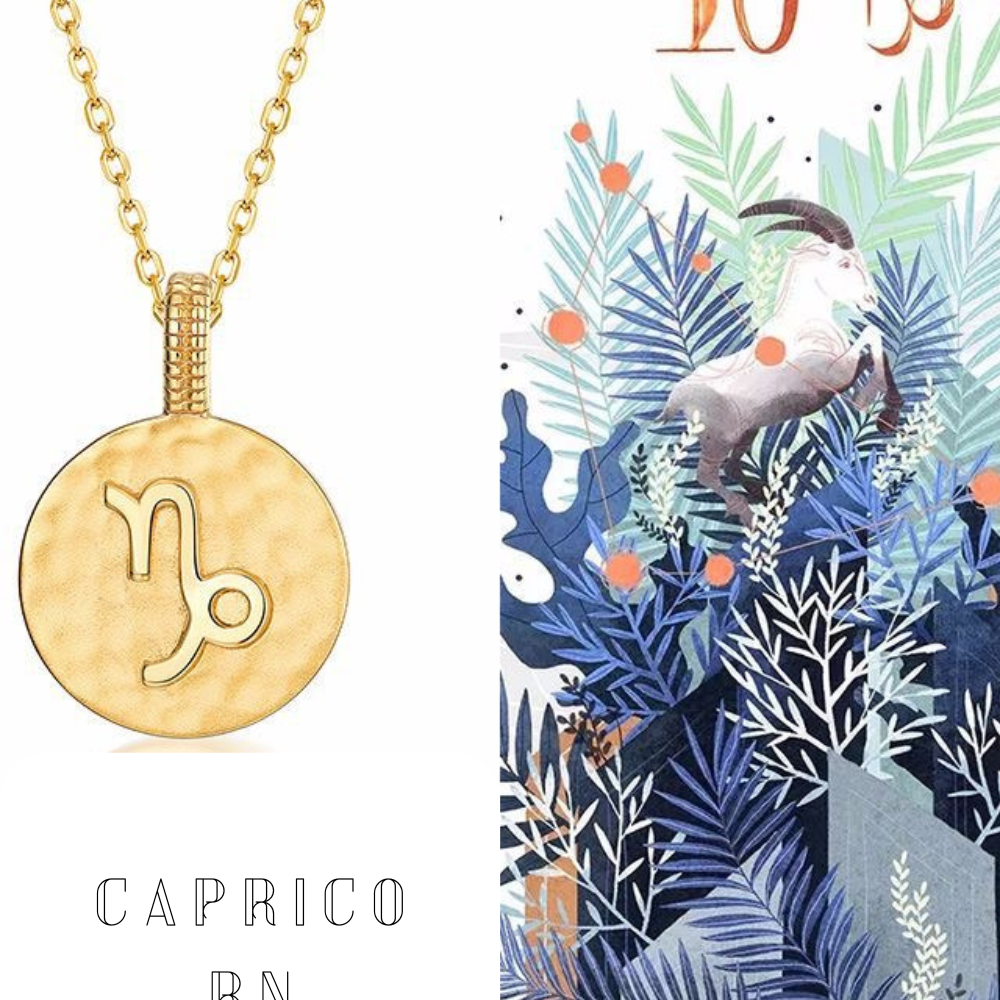 Zodiac sign necklace- Capricornus