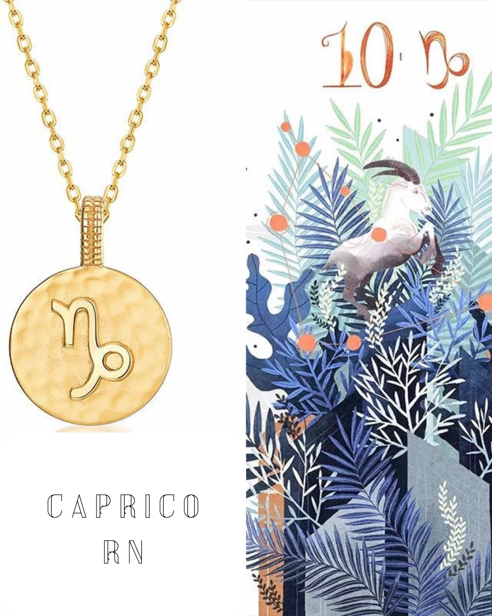 Zodiac sign necklace- Capricornus