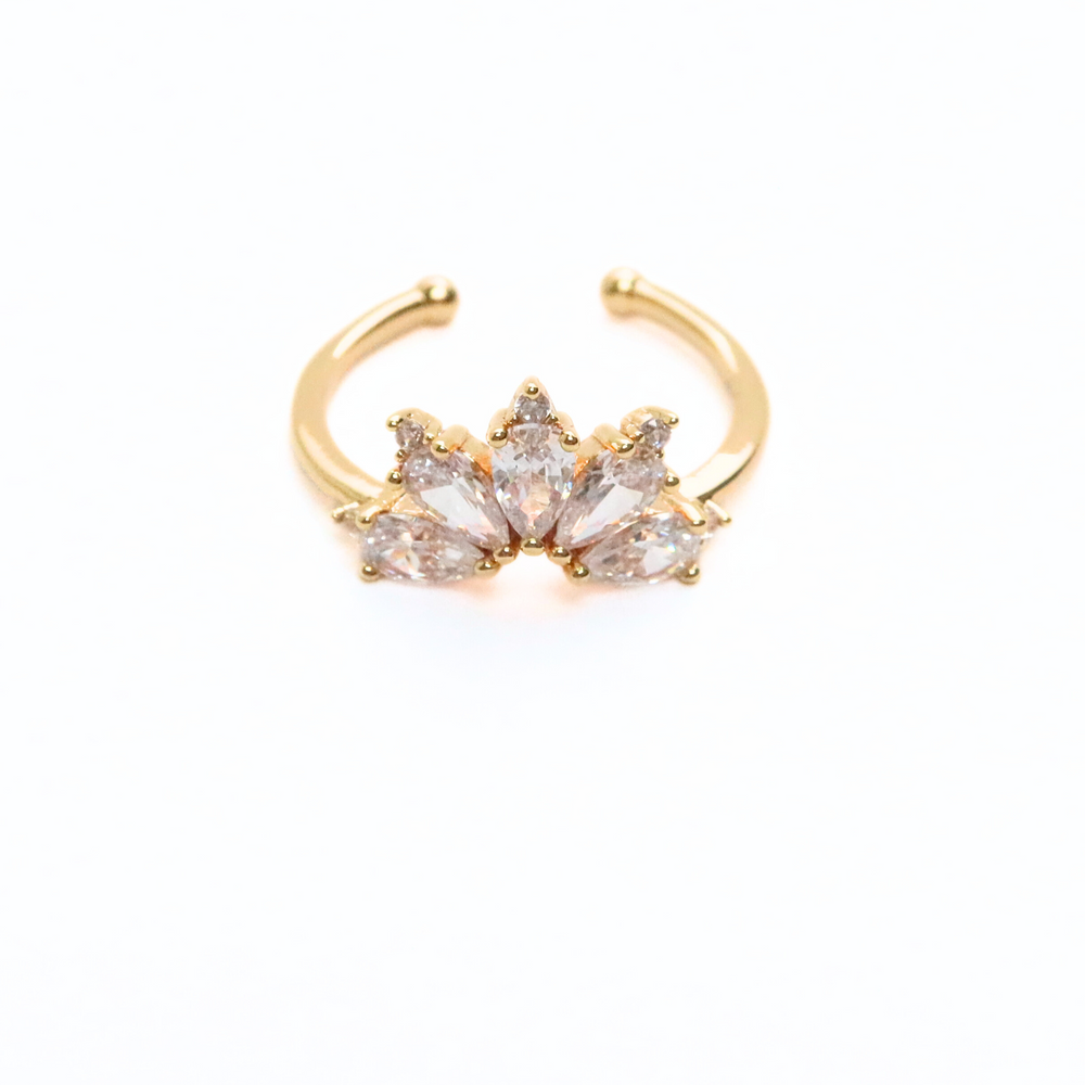 
                      
                        Crown Zircon Ring
                      
                    